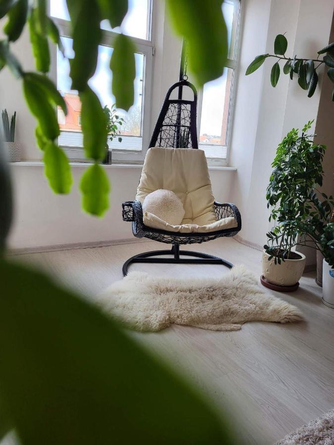 Cozy 2 Room Apartment In The Oldtown Of 克莱佩达 外观 照片